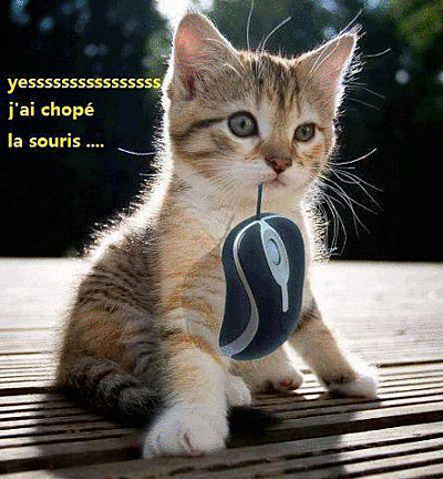 http://bilouttecemi.b.i.pic.centerblog.net/Yess-j-ai-chope-la-souris.gif